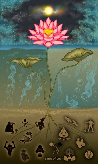 ARTS: lotus life